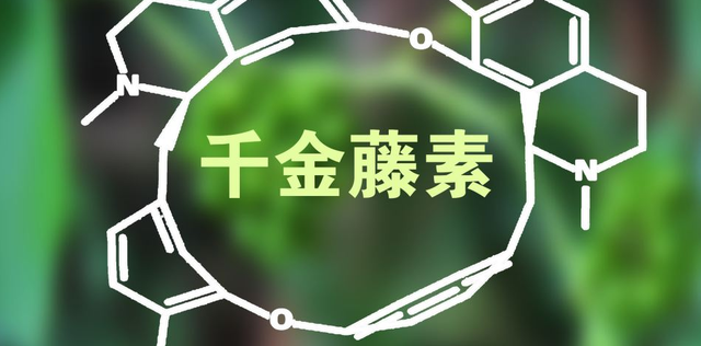 称能阻止新冠病毒复制，千金藤素“一天一个价”！炒作或难持续，概念股已经熄火