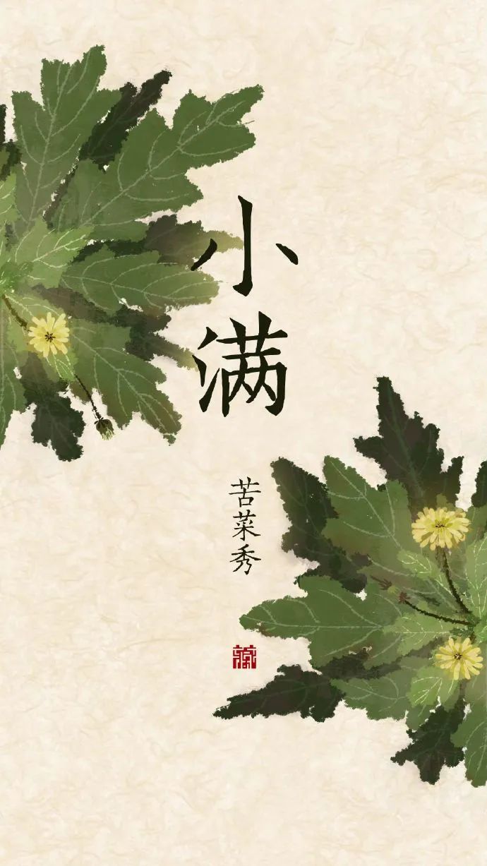 小满·三候|物至于此,便小得盈满.