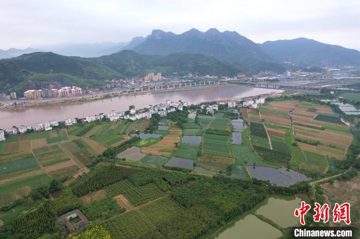 王東明 攝俯瞰閩侯縣大湖鄉高山茶園.