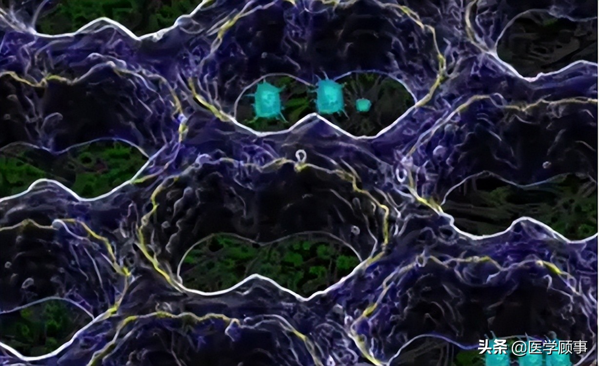 再生医学材料的黄金搭档：外泌体与细胞外基质|干细胞_新浪新闻