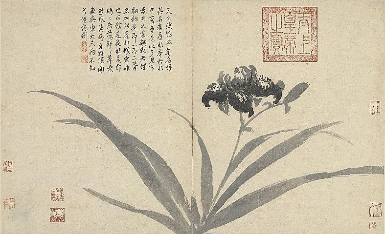 故宮花信|鳶尾:翩翩對舞風輕,團扇撲來夢驚|畫蝴蝶花|臺北故宮博物院