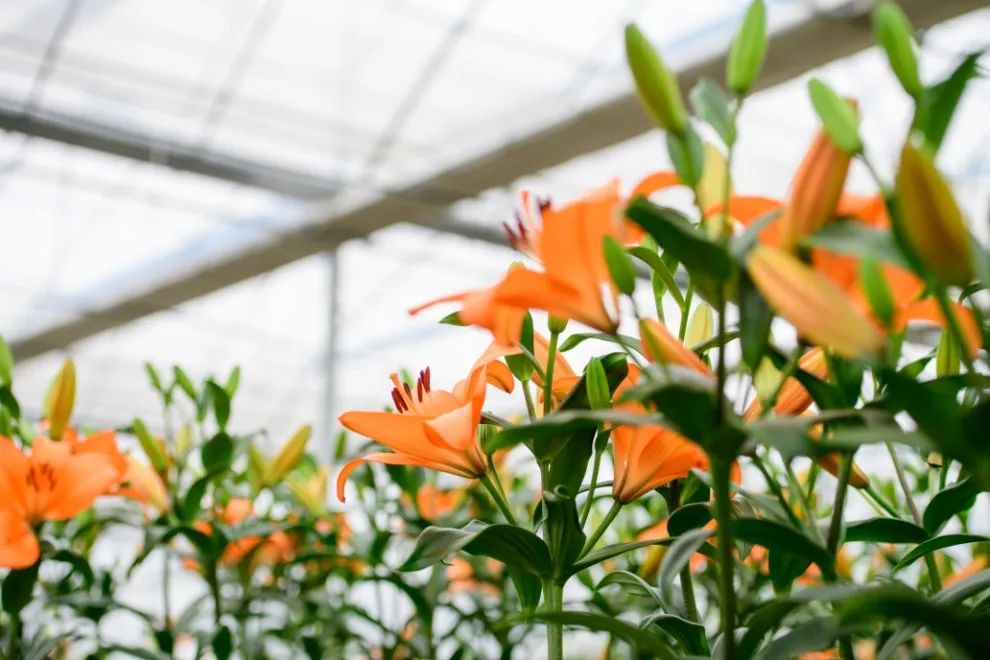 Hxpzc1mtjdcjbm Hxpzc1mtjdcjbm