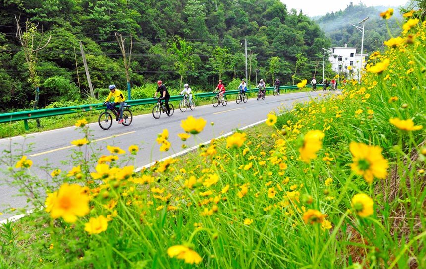 江西万载:骑行乡村花海路