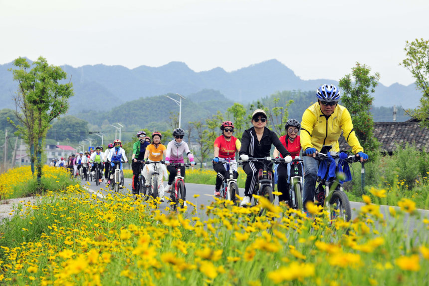 江西万载:骑行乡村花海路