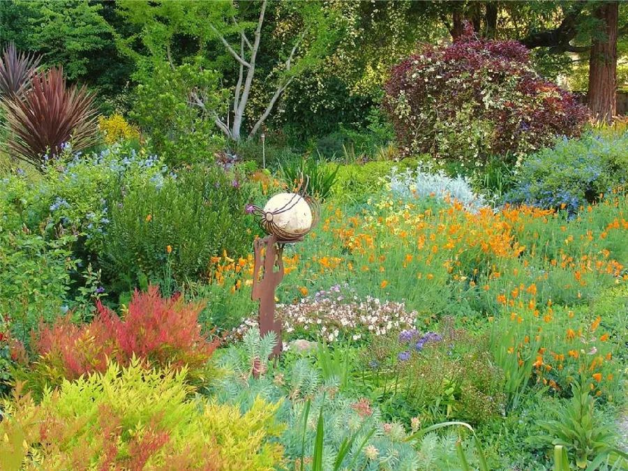 庭院花境究竟可以怎么玩