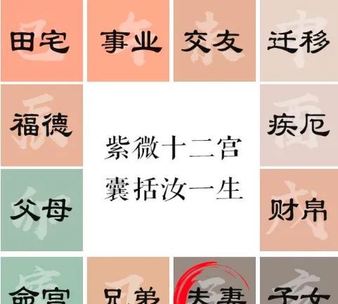 紫薇斗数中最重要的是身宫(紫薇命盘的身宫是什么)