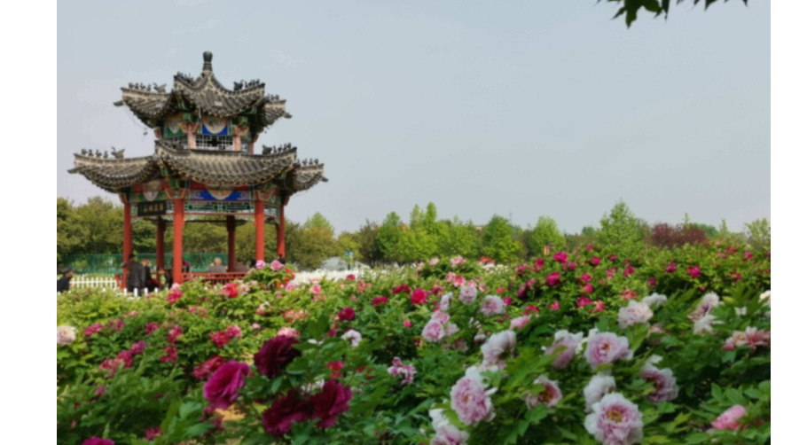 浮龙湖生态旅游景区是荷泽最好玩的地方之一