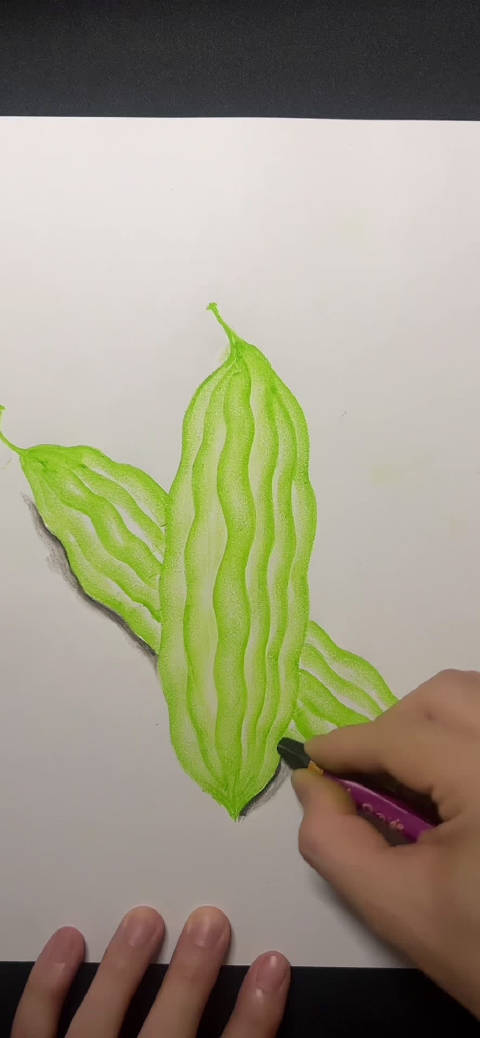 爸爸画的苦瓜pk我用幼儿园油画棒画的苦瓜你喜欢谁画的