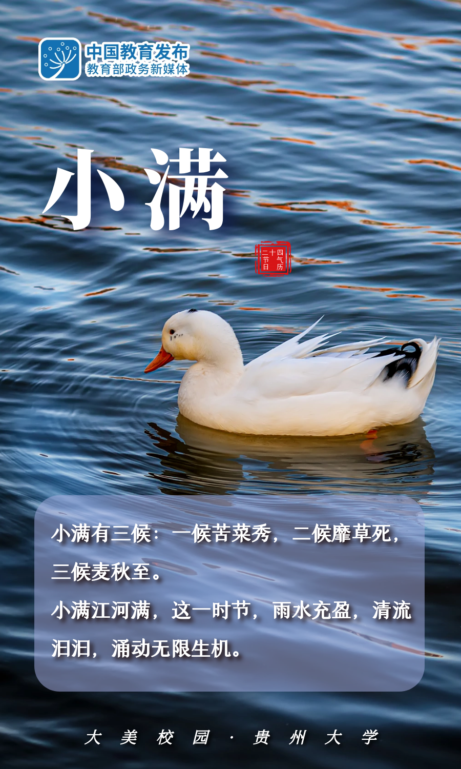 今日小满夜莺啼绿柳皓月醒长空