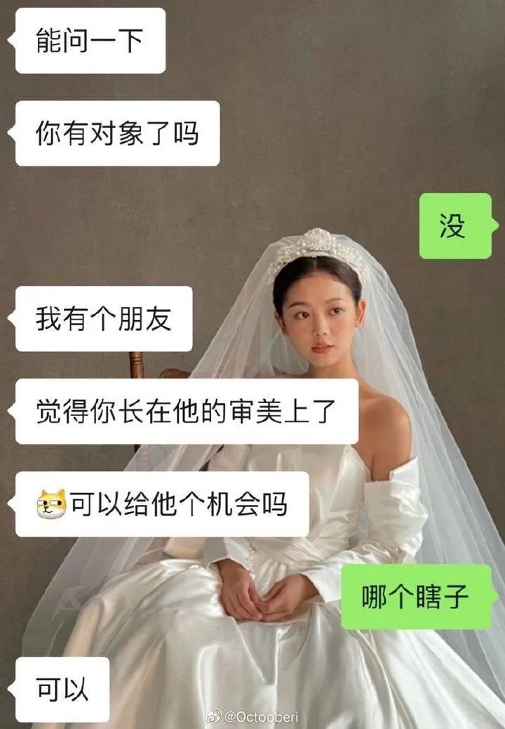 钢铁直女聊天记录大赏