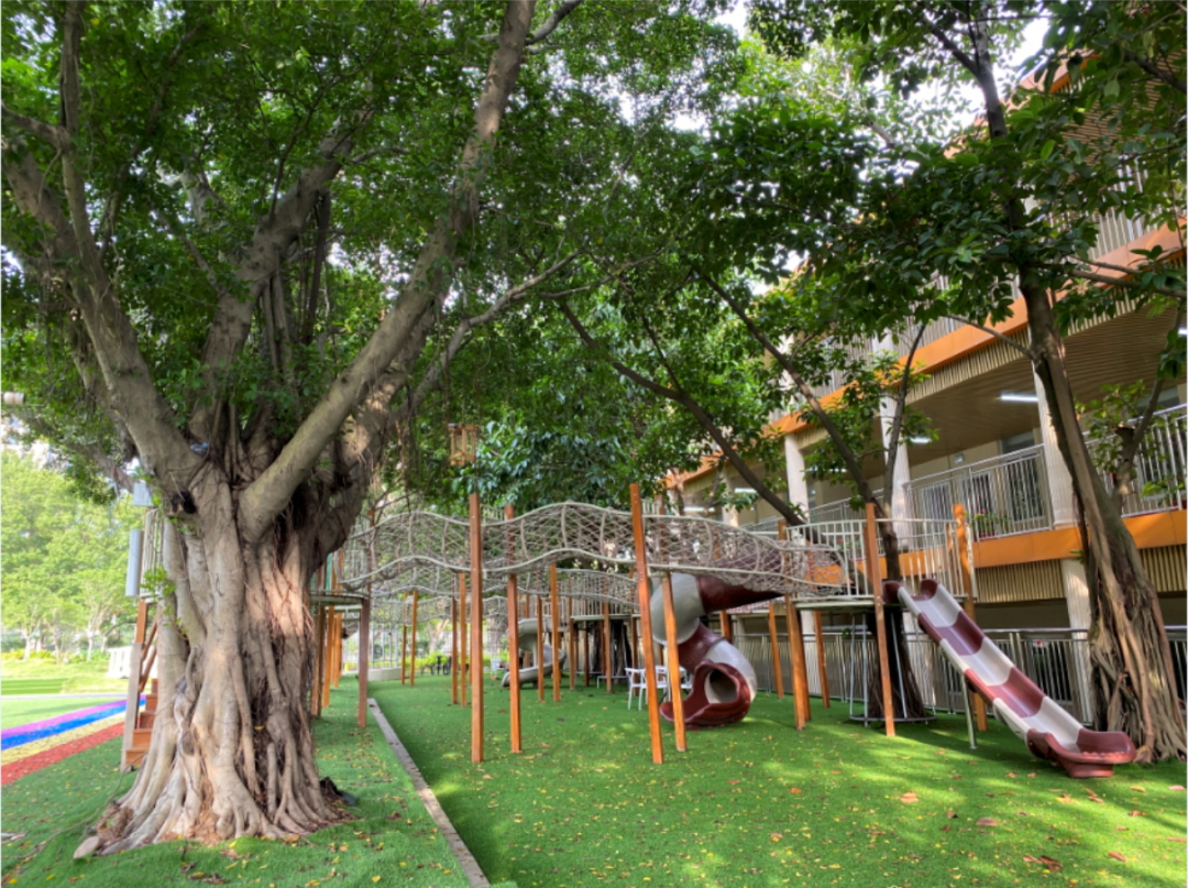 约4000㎡自然户外活动场地揭秘肇庆首家森林幼儿园