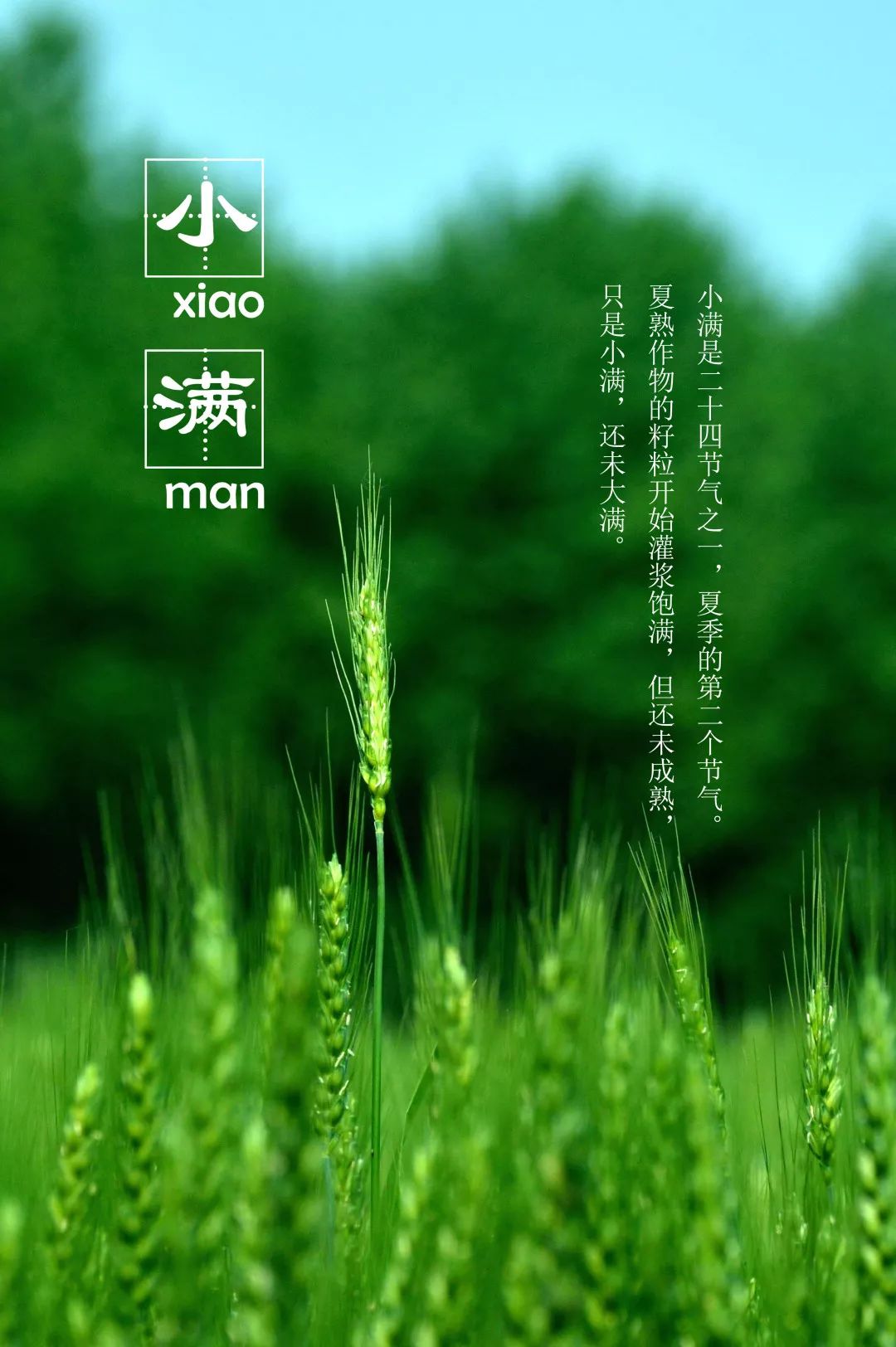 《五绝 小满》宋·欧阳修夜莺啼绿柳,皓月醒长空.