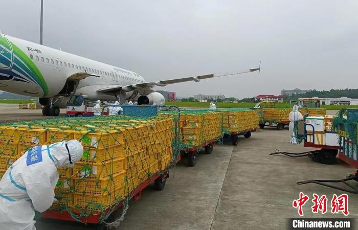 图为东盟水果通过空运抵达南宁机场 广西航发公司供图