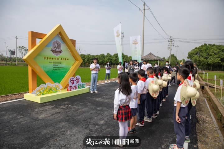 袁隆平院士逝世一周年之际，两岸学子宣誓共护“爷爷的水稻田”休闲区蓝鸢梦想 - Www.slyday.coM