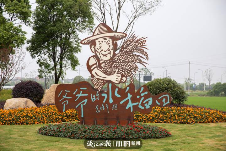 袁隆平院士逝世一周年之际，两岸学子宣誓共护“爷爷的水稻田”休闲区蓝鸢梦想 - Www.slyday.coM