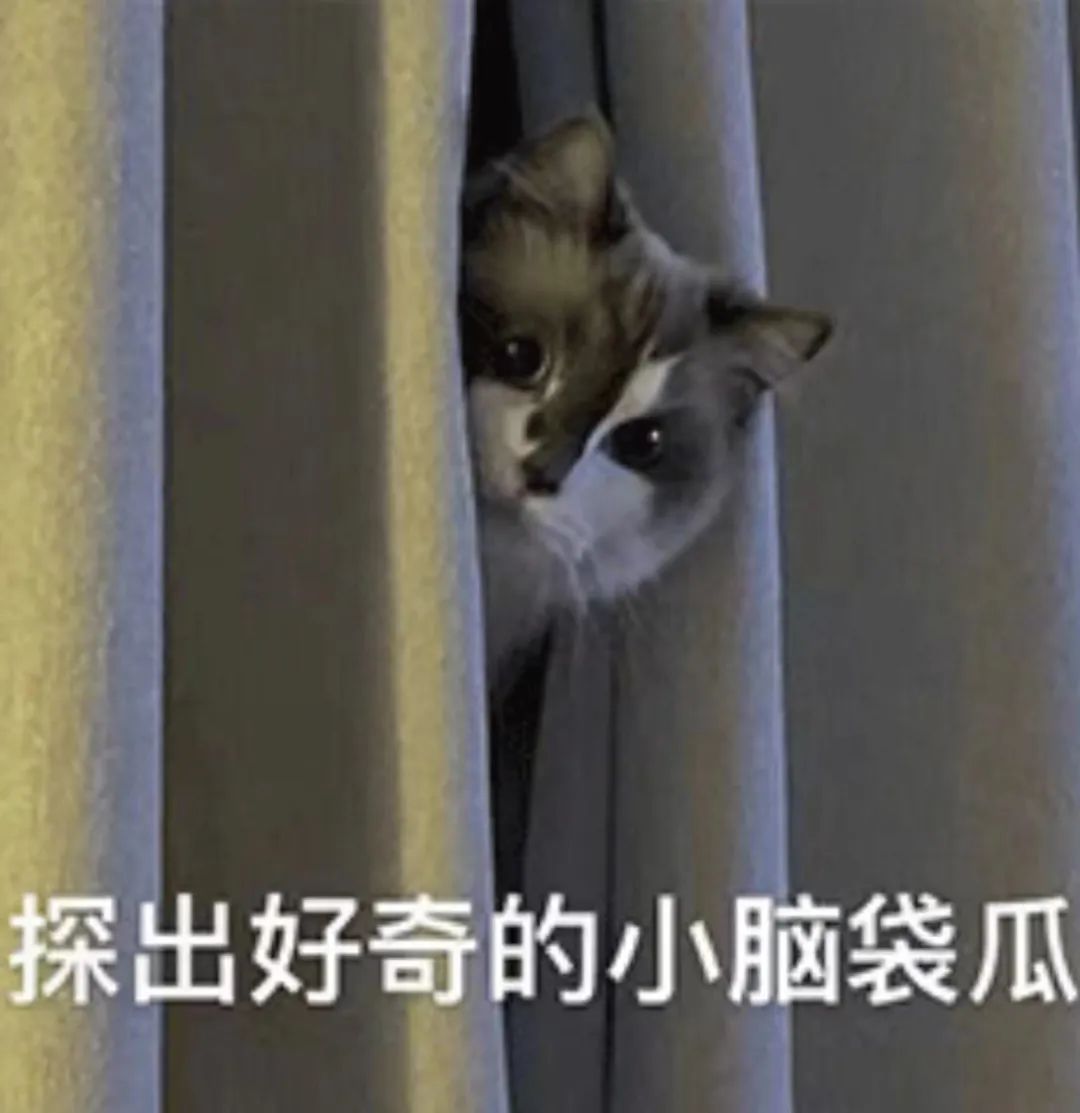 首天就结婚？《一夜新娘第二季》高甜开播休闲区蓝鸢梦想 - Www.slyday.coM