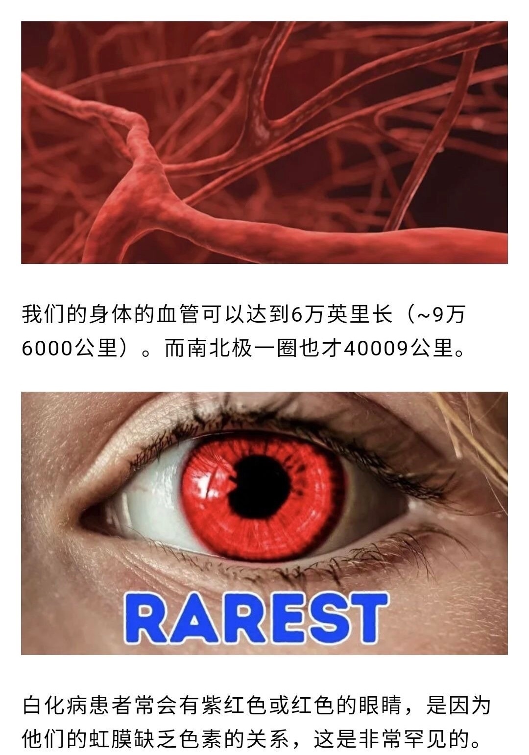 人体事实证明人是地球上最奥秘的生物