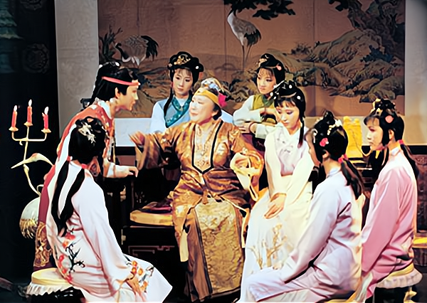 红楼梦里真正的枕霞旧友不是史湘云而是那个品位不俗的老太太