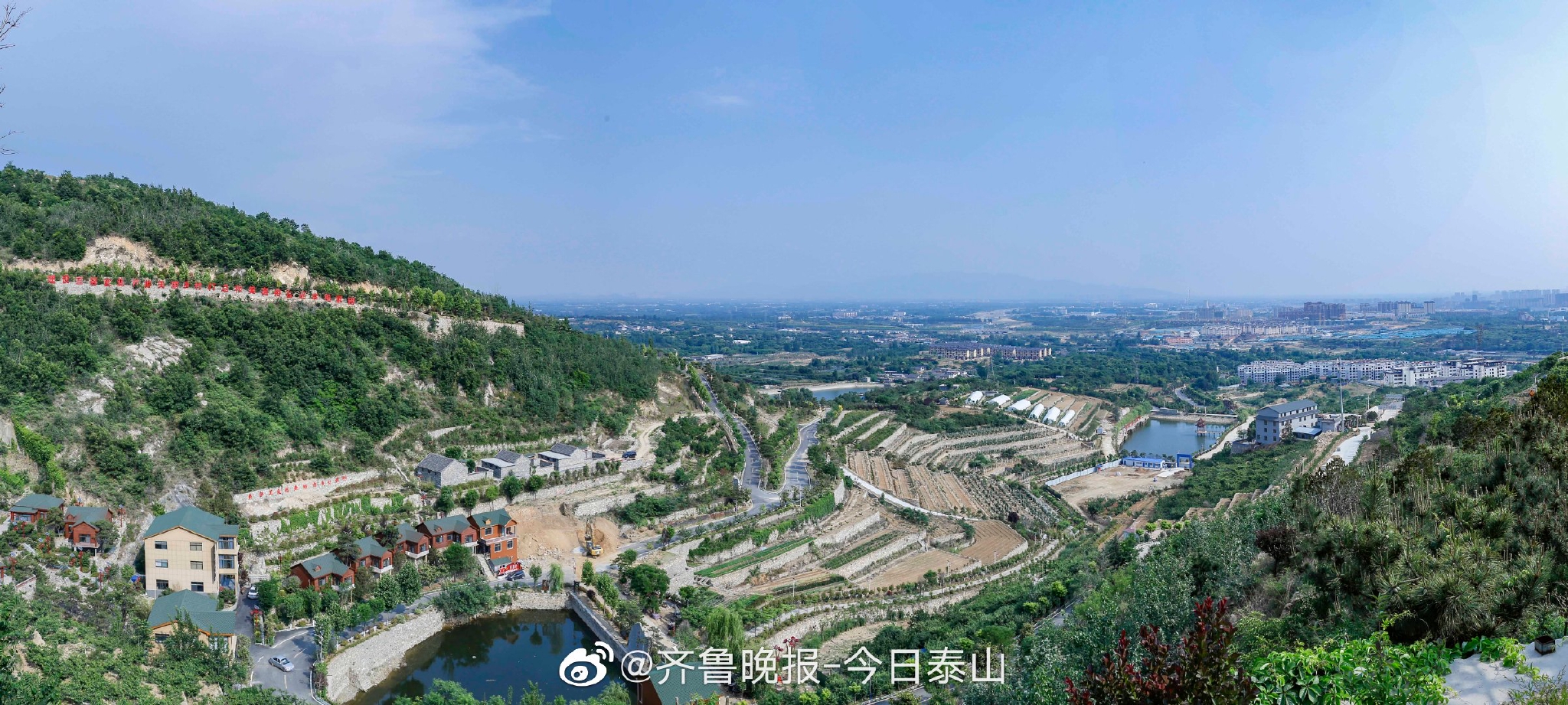 小满时节万物繁盛5月20日记者来到泰山区省庄镇安家庄村