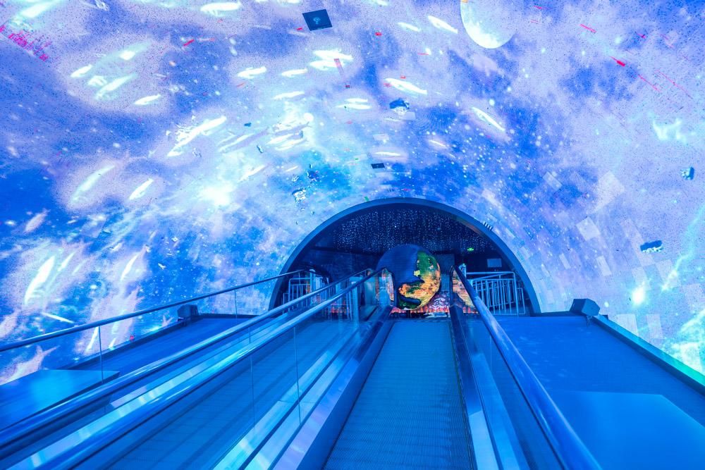 夏日正佳广场海洋馆清爽畅游,记万豪酒店惊喜之旅|万豪|正佳广场|海洋