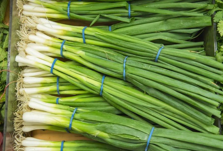 南方菜市场，服务堪称五星级酒店，顾客是上帝，土豆削皮玉米剥粒休闲区蓝鸢梦想 - Www.slyday.coM