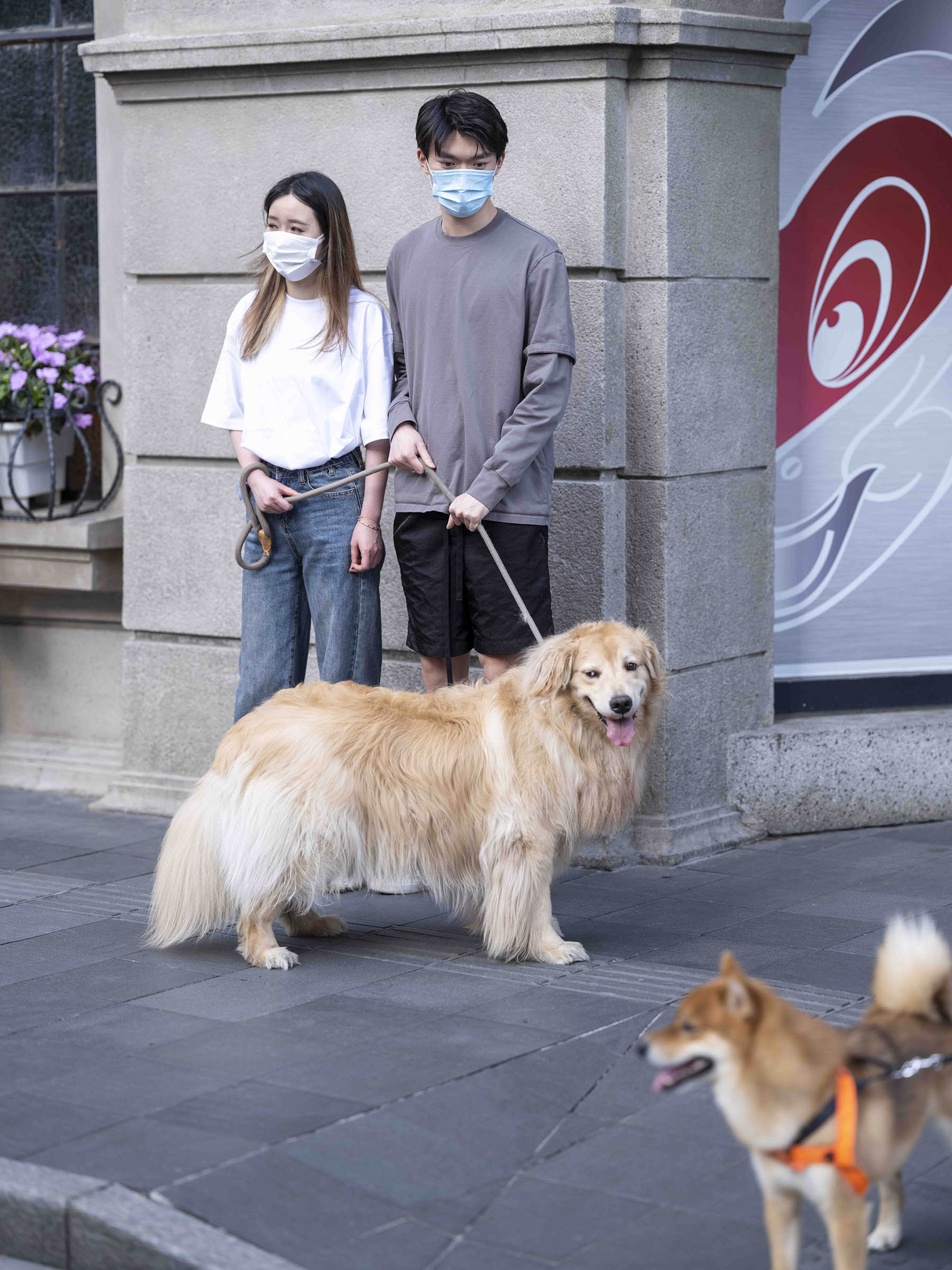 2022年5月21日,遛狗的人和他们的小狗.