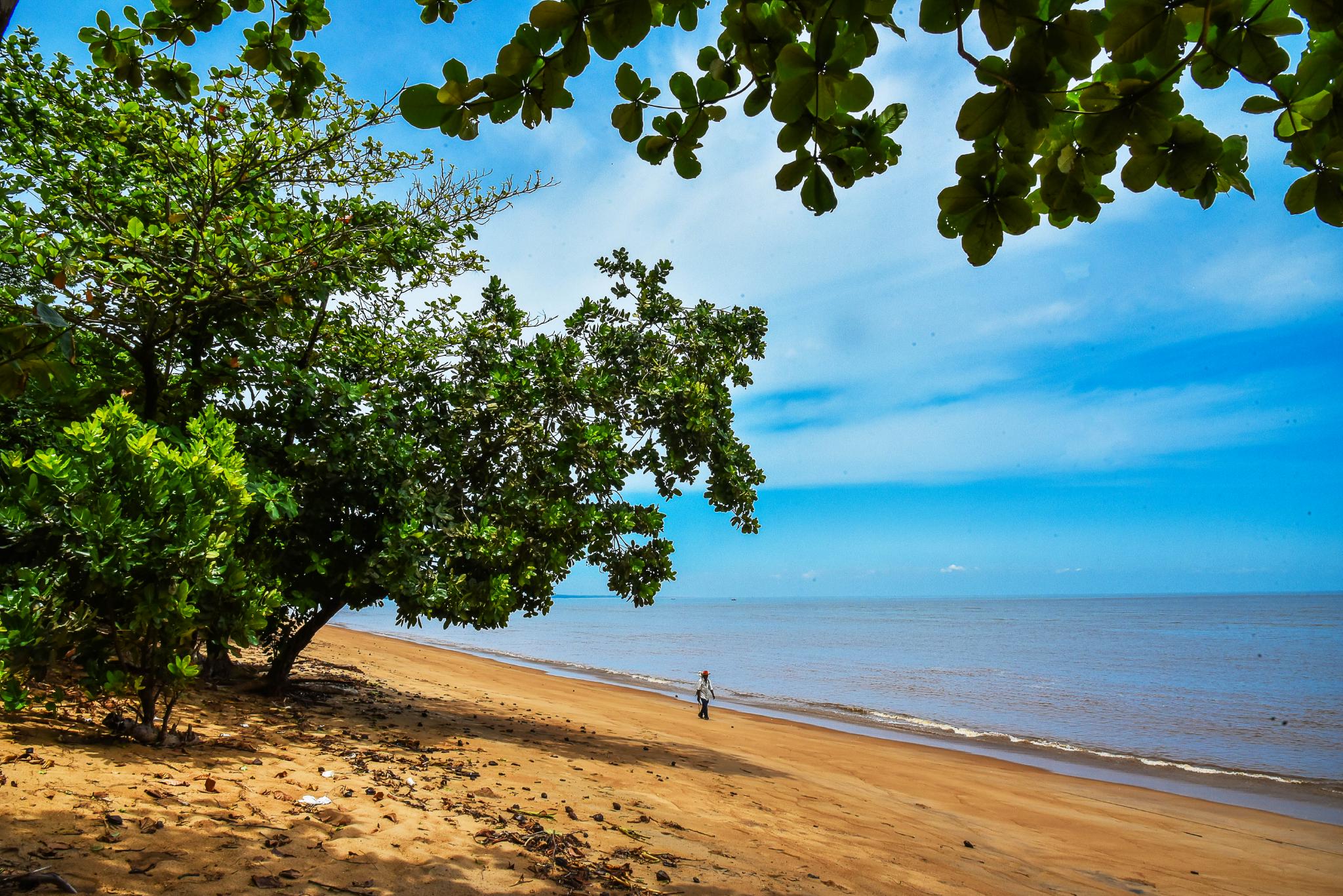 走进喀麦隆杜阿拉埃代阿国家公园