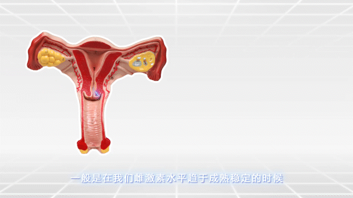 这些会导致宫颈病变的因素看看你占了几个