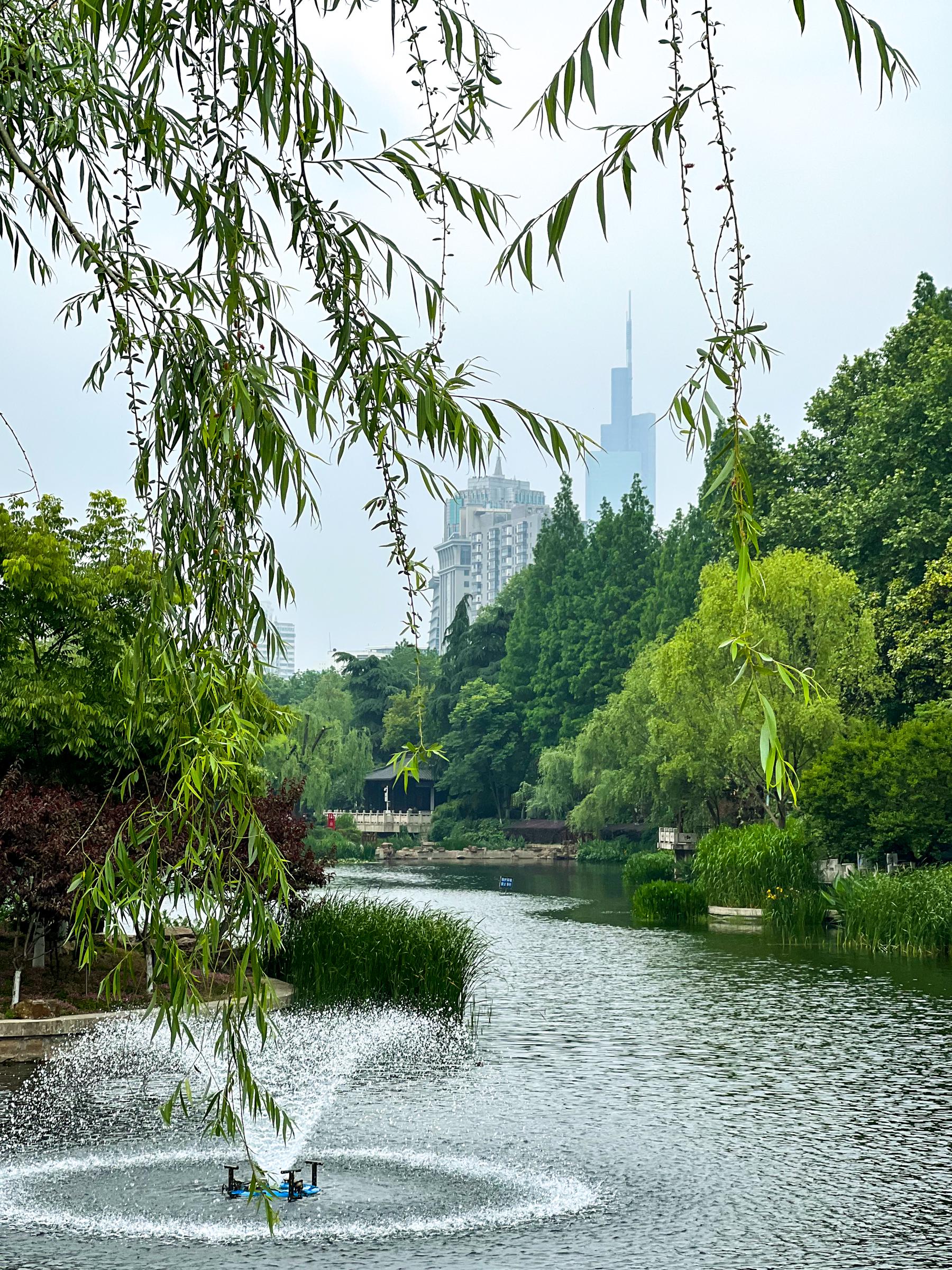 南京被忽略的公园面积不大景色却十分秀丽很多本地人都不知道