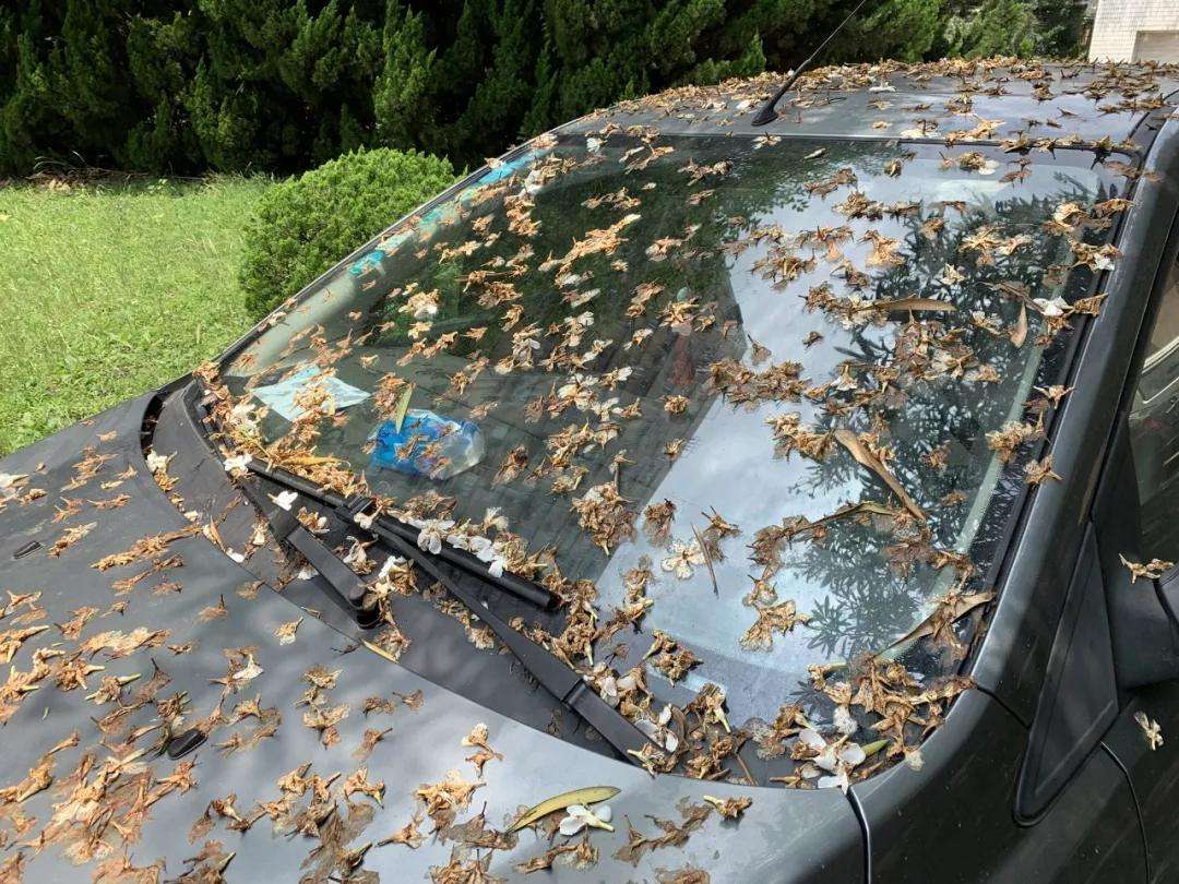 车辆经常停在太阳下暴晒会对车辆造成影响吗