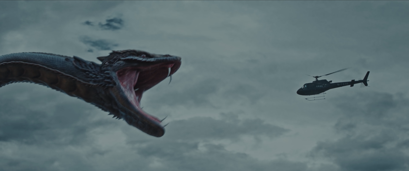 《人蛇大战》:海岛蛇灾版釜山行,近两年最好看的灾难网络电影 - 影视