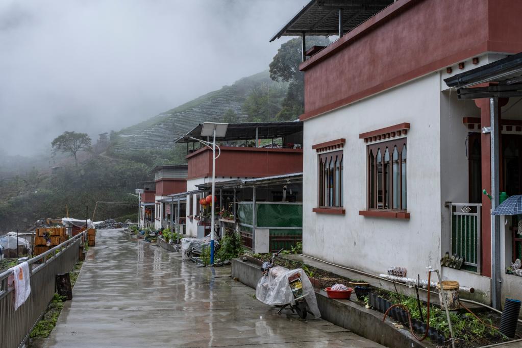 �����͵Ǵ���ӣ�4��15���㣩���»������ ��� ��