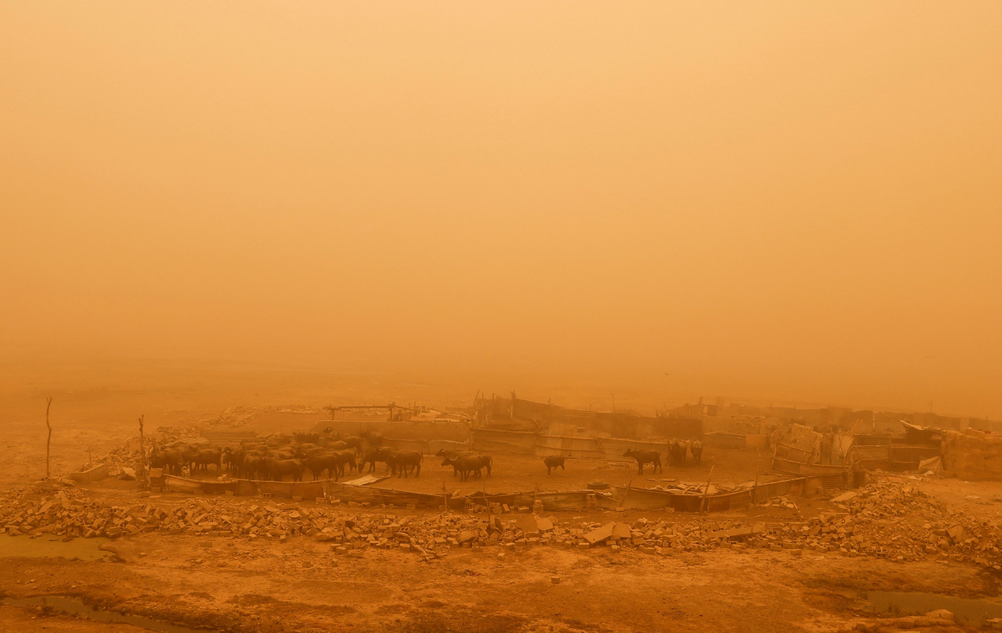 伊拉克遭遇沙尘暴