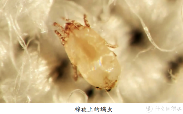 快来看（大兵的家人）大兵妻子是谁，(图121)