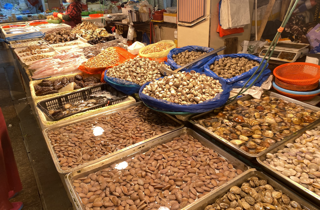 这种美味海鲜在温州上市啦量大又便宜休渔期也能吃到