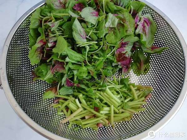 夏天，这菜很适合女人，一斤5元，补钙补铁气色好，还可以减肥休闲区蓝鸢梦想 - Www.slyday.coM