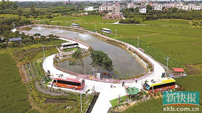 村民话事大事共商乡村治理激发新活力