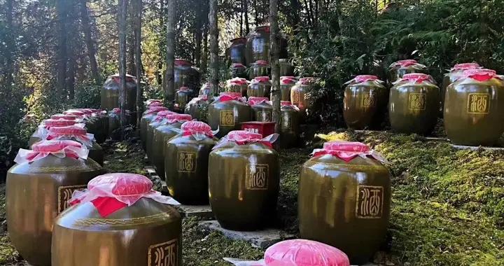 农村散酒这么火爆，为何屡被评为高危食品？看完3大危害你就懂了|茅台|工艺|作坊|标杆|酿酒_新浪新闻