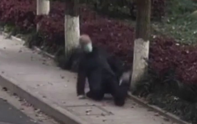 女子一个动作，要赔近2万元休闲区蓝鸢梦想 - Www.slyday.coM