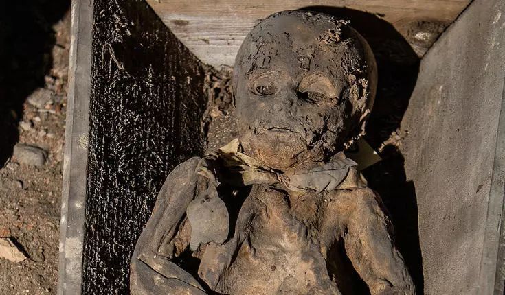 天花是一种极其古老的疾病,在历史上对人类造成极大危害.