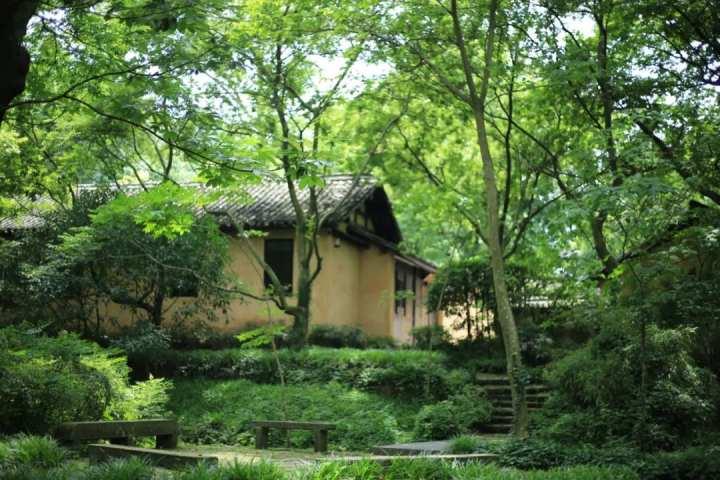 太美了九溪出发一不小心闯入了杭州的绿野仙踪文内有完整线路轨迹