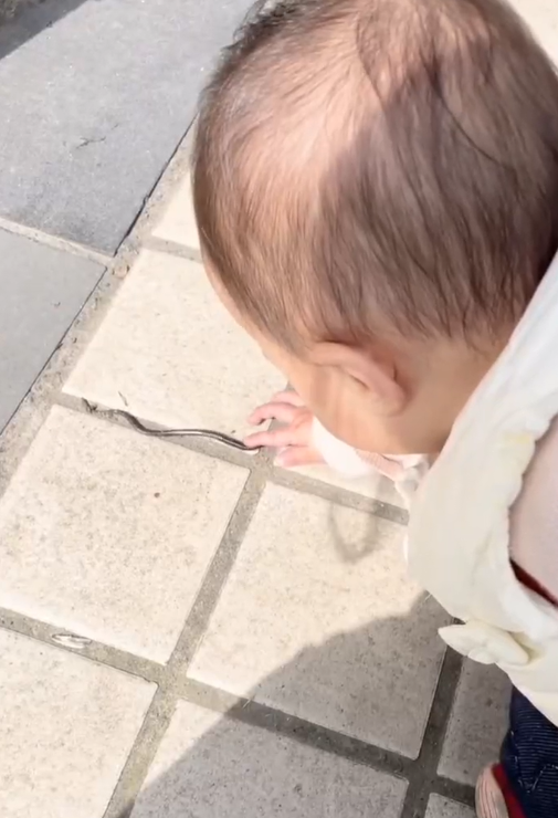 宝妈带宝宝认蚯蚓，下一秒宝宝抓着蚯蚓就往嘴里送