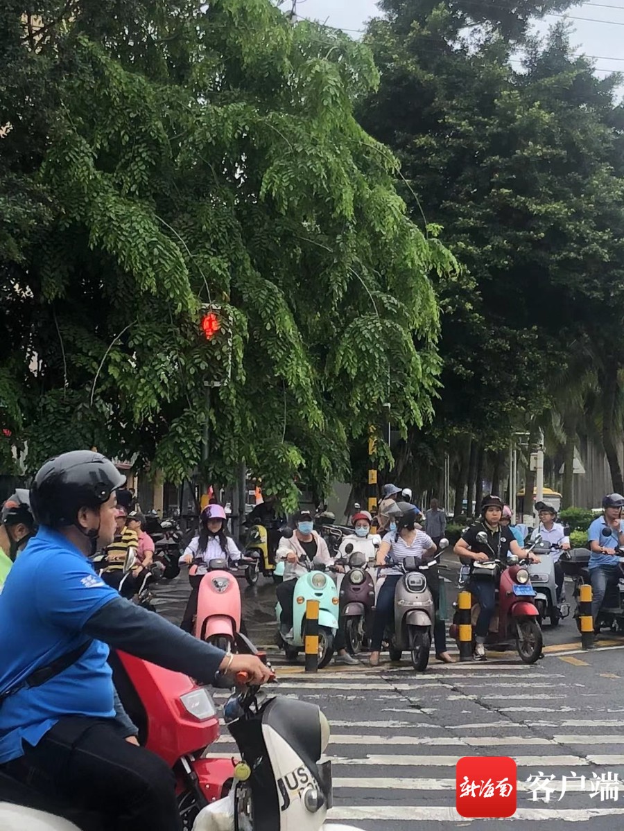 海口一路口红绿灯被枝叶遮挡市民反映影响出行