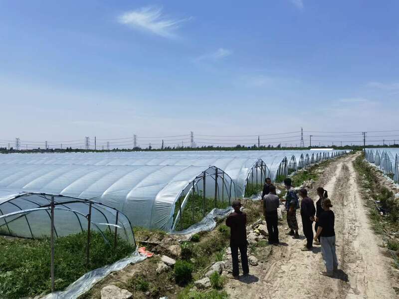 上海浦东120万斤西瓜滞销 瓜农哭诉求助休闲区蓝鸢梦想 - Www.slyday.coM