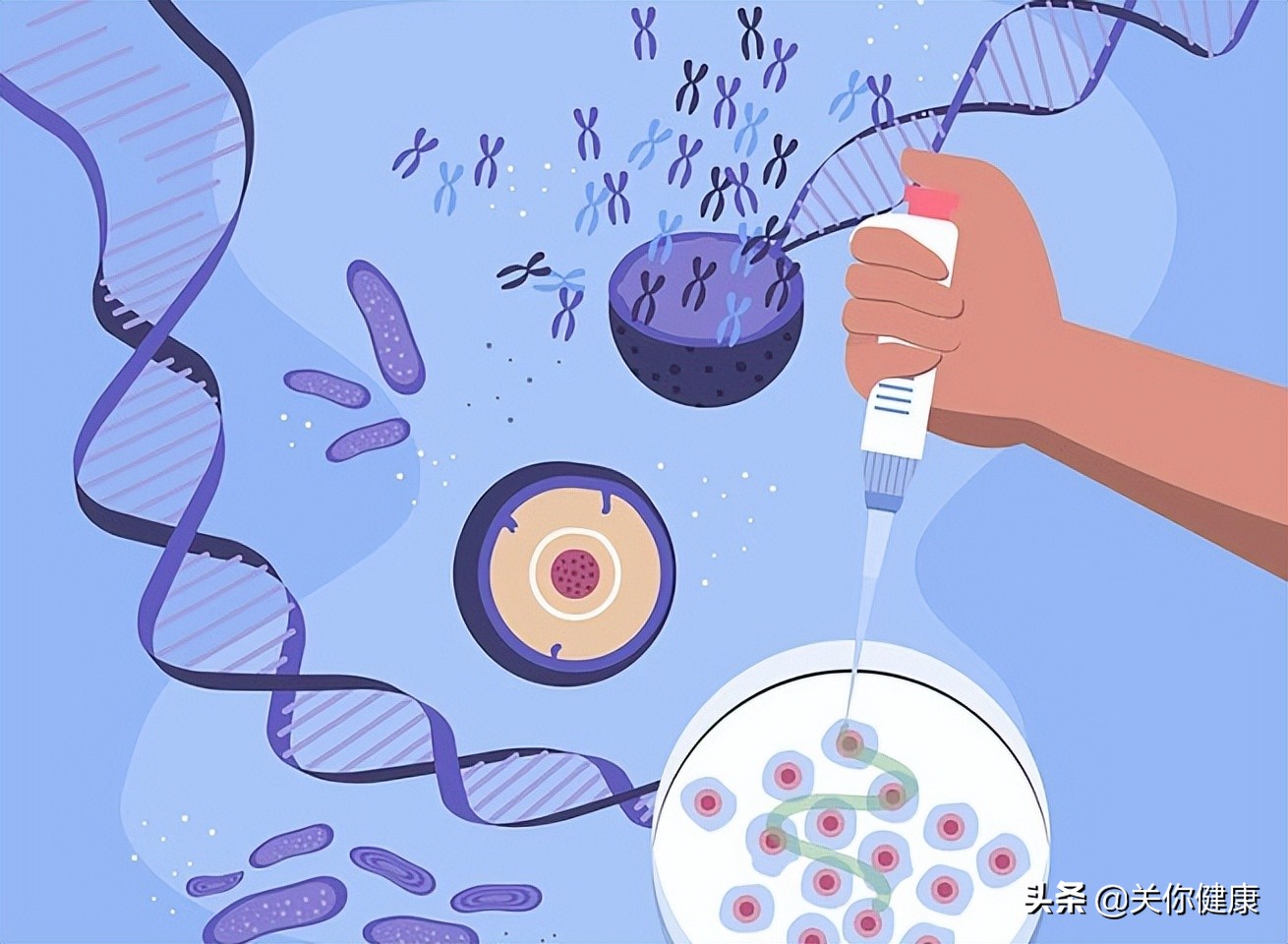 基因测序表明，猴痘病毒发生了明显变异，疫情已波及12个国家休闲区蓝鸢梦想 - Www.slyday.coM