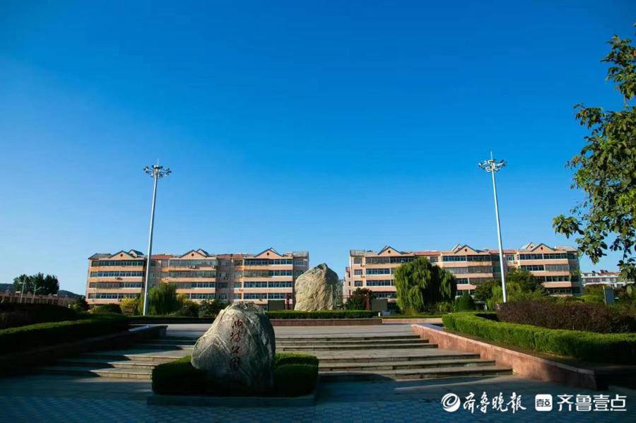 泰安市岱岳区山口镇油坊村坐落在泰山东麓,汶河北岸,紧邻济泰高速,总