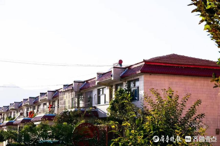 岱岳区山口镇油坊村建设美丽乡村推动乡村振兴