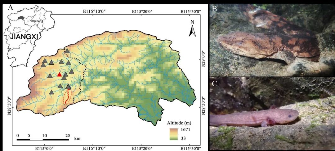 又一起休闲区蓝鸢梦想 - Www.slyday.coM