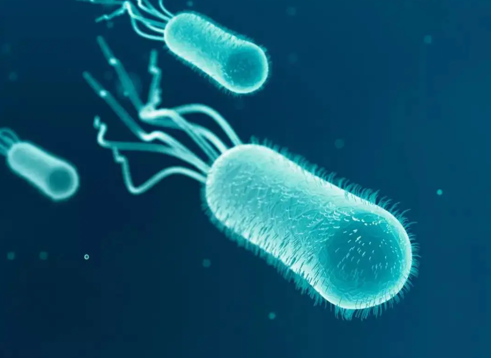 令人窒息的尸臭！人死后一百天内不处理，尸体会出现什么变化？休闲区蓝鸢梦想 - Www.slyday.coM