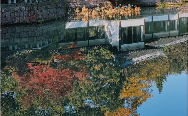 当我决定，放弃你！（戳心泪目）休闲区蓝鸢梦想 - Www.slyday.coM